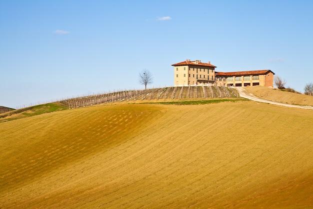 dolcetto piemonte