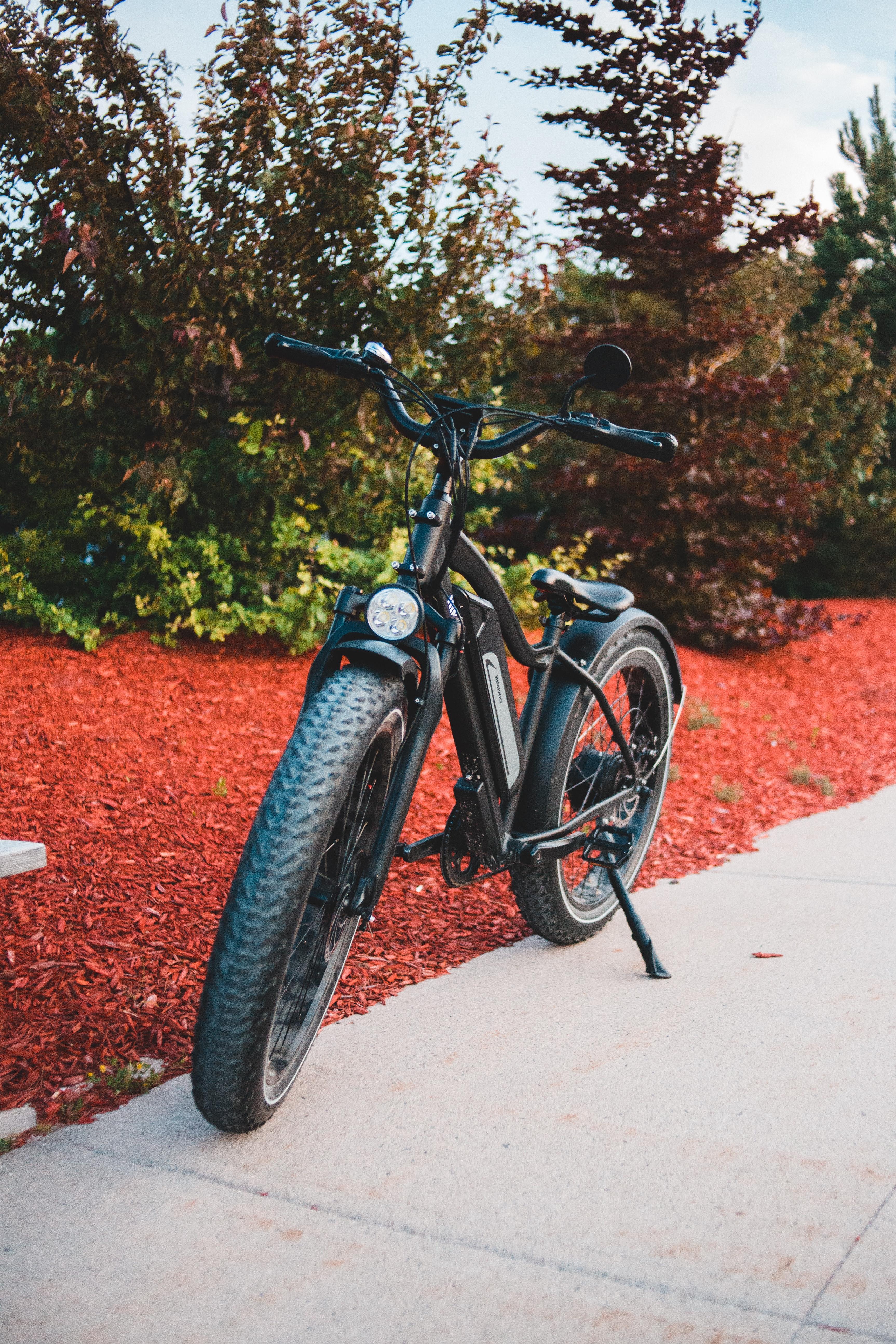 rad power bike cover