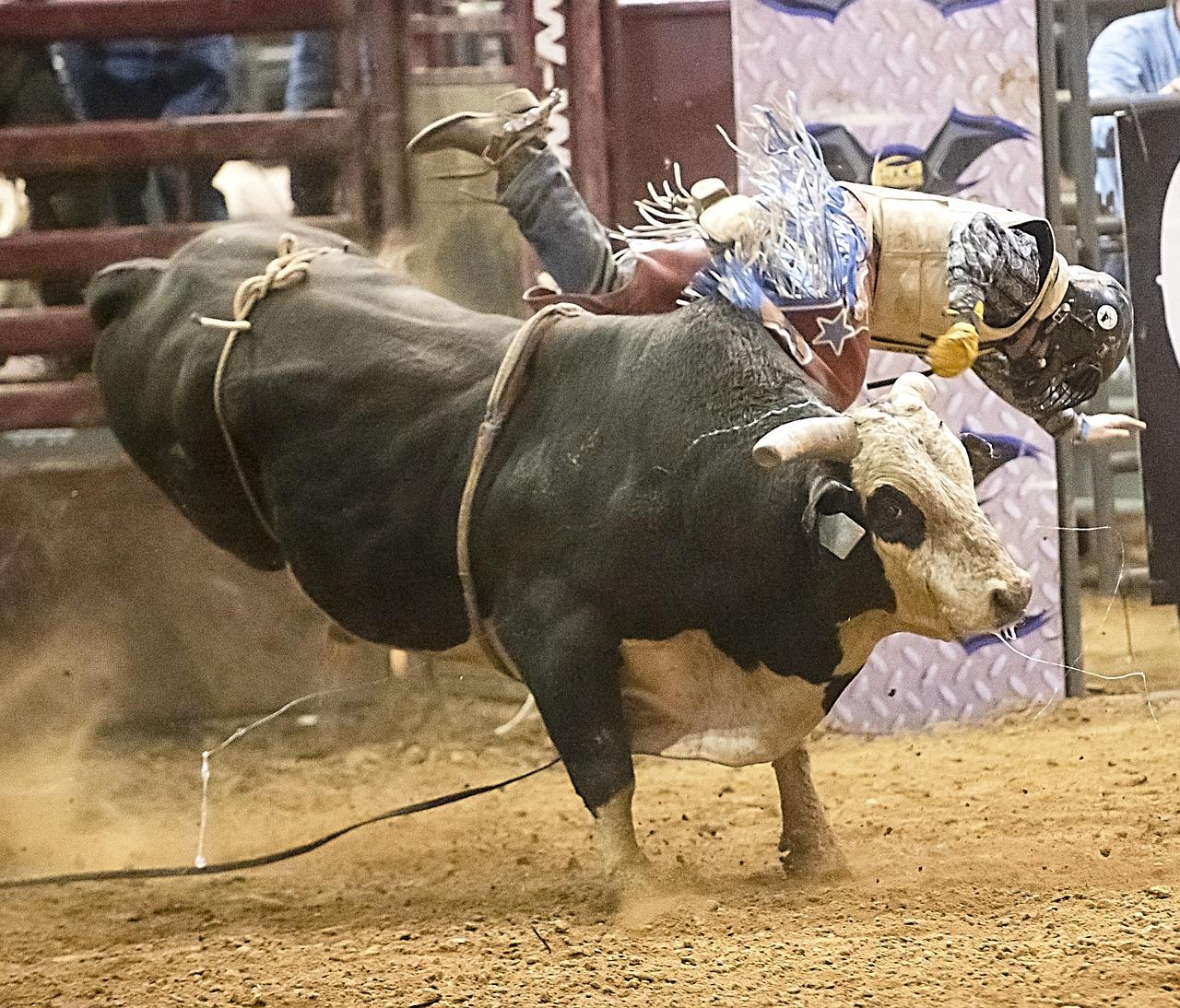 bull riding helmets