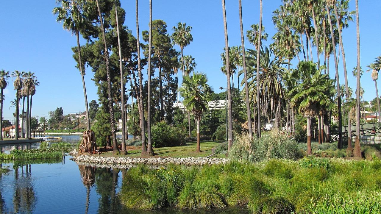 trees of echo park