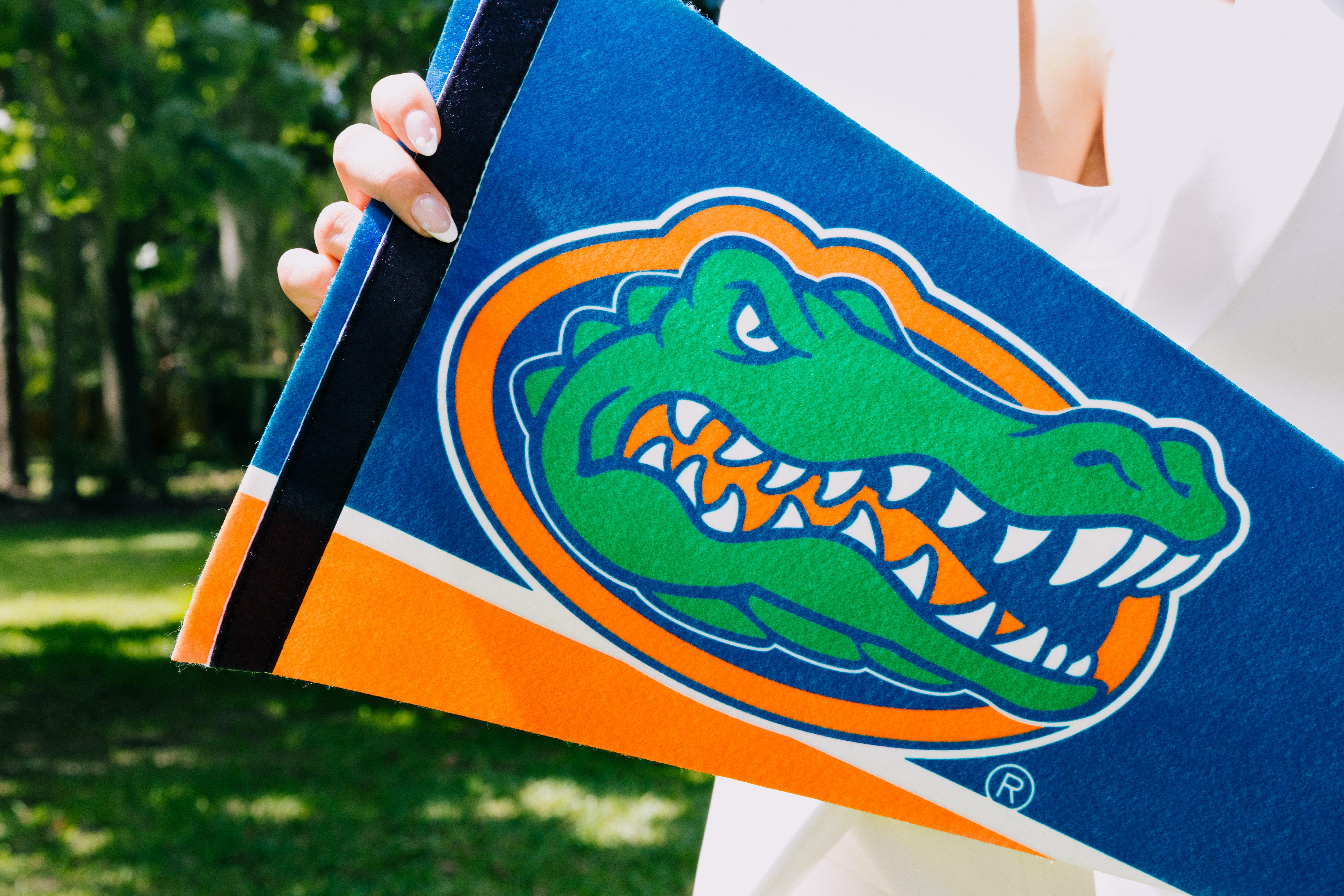 florida gators colors