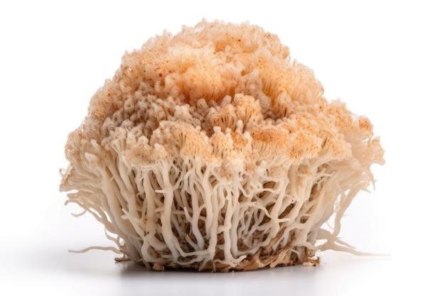 lion's mane for parkinson's disease