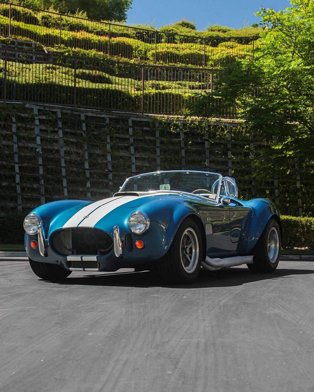 shelby cobra watch