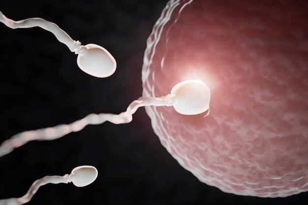 What if dog sperm meets a human egg?