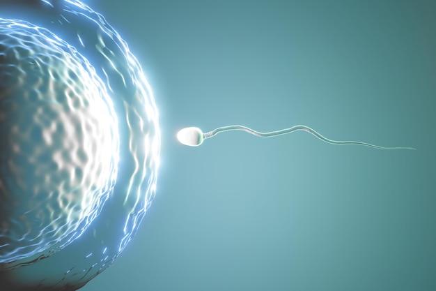 What if dog sperm meets a human egg?