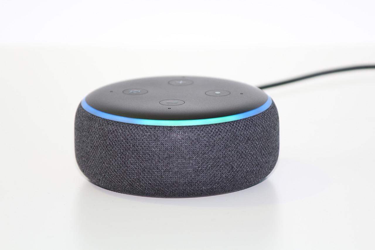  Google What Do You Think About Alexa 