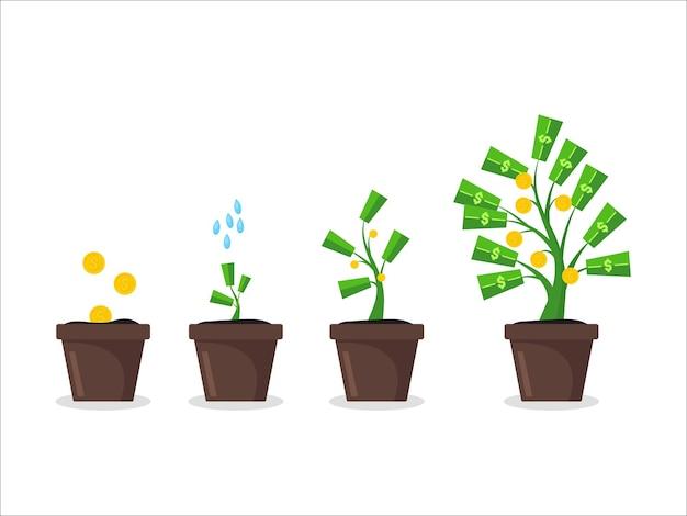  How To Braid Money Tree As It Grows 