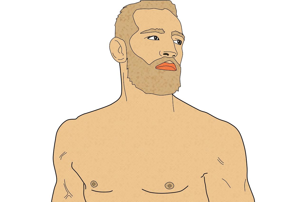  What Martial Arts Conor Mcgregor 