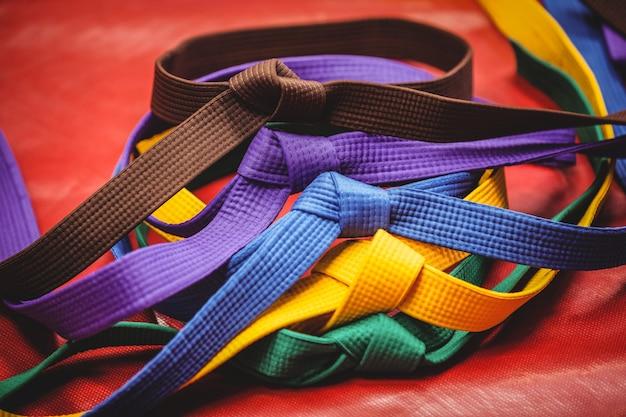  What Is The Rainbow Belt In Martial Arts 