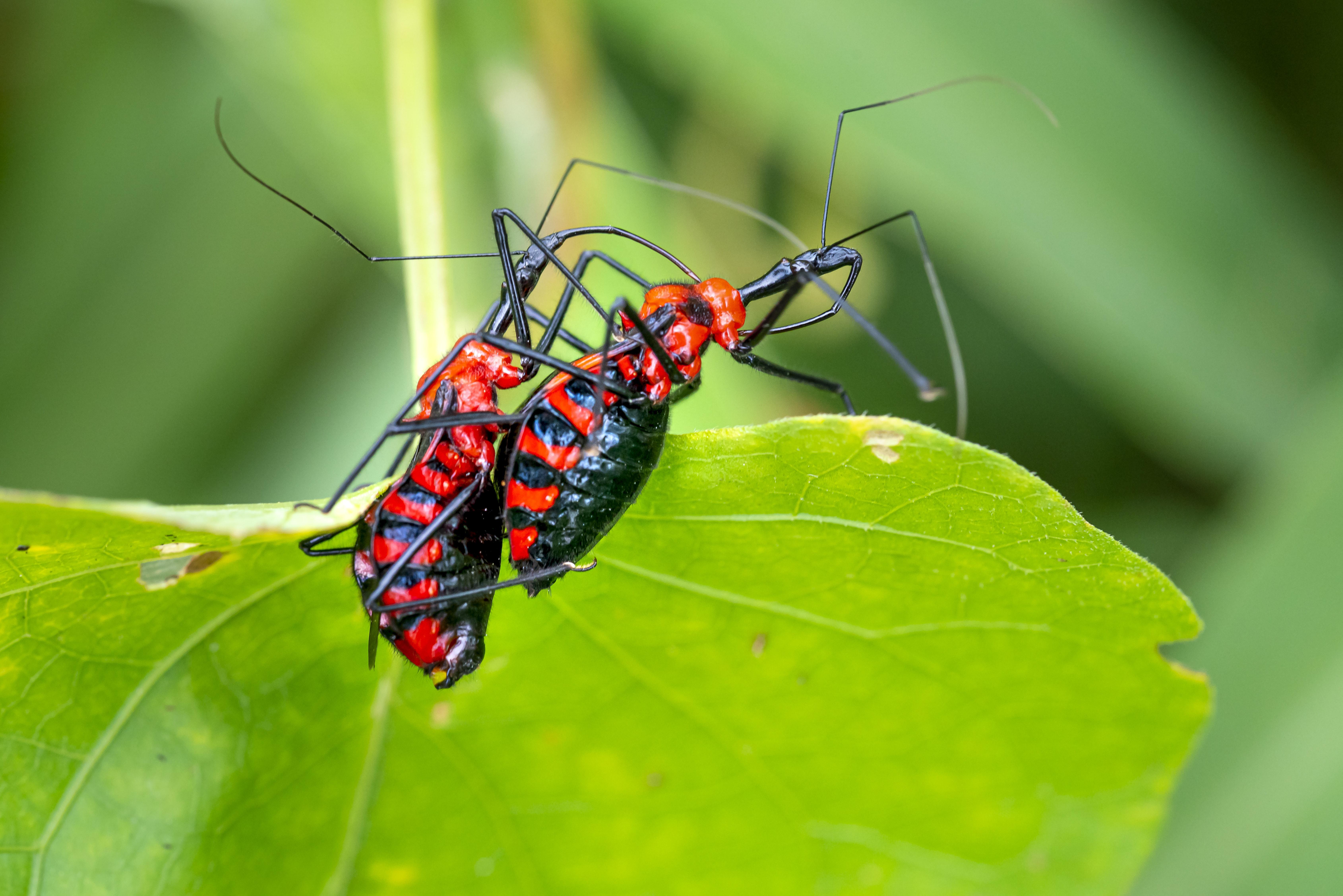  Which State Has The Least Bugs 