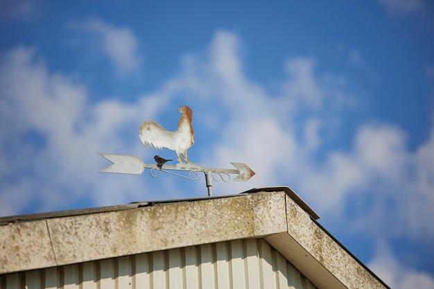  What Channel Is Peacock On Directv 